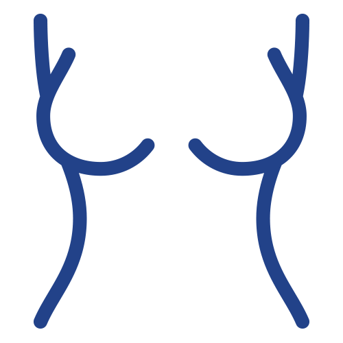 women's torso and breast icon